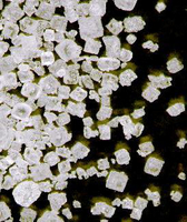 SODIUM CHLORIDE FOR ANALYSIS EMSURE